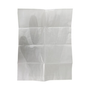 EVA Examination Gloves - Disposable Copolymer Gloves for Medical Use